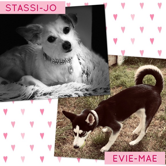 Meet your Posher, Dlorah - Picture 8 of 8